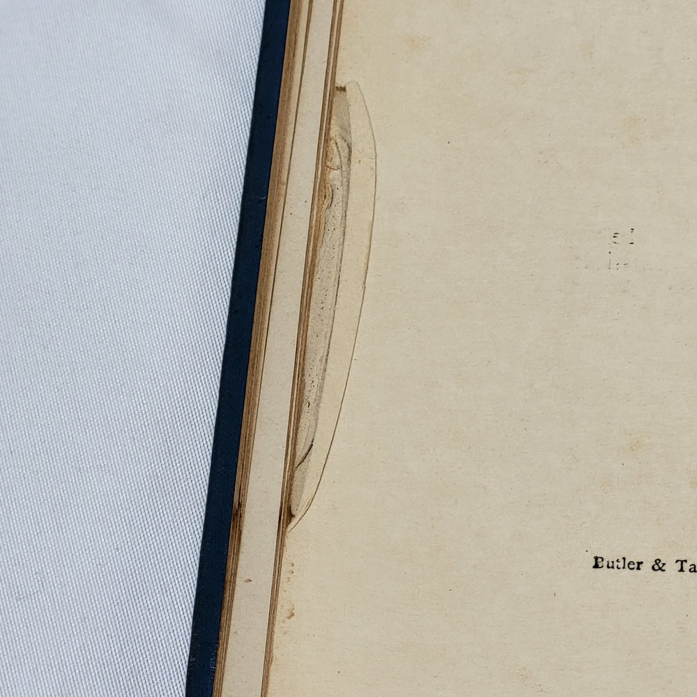 Probable Sons Amy Le Feuvre Antique 1900s Tract Society Victorian Hardcover - Picture 12 of 14